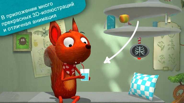 Little Fox Animal Doctor
